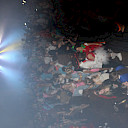 Galeriebild