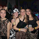 Galeriebild